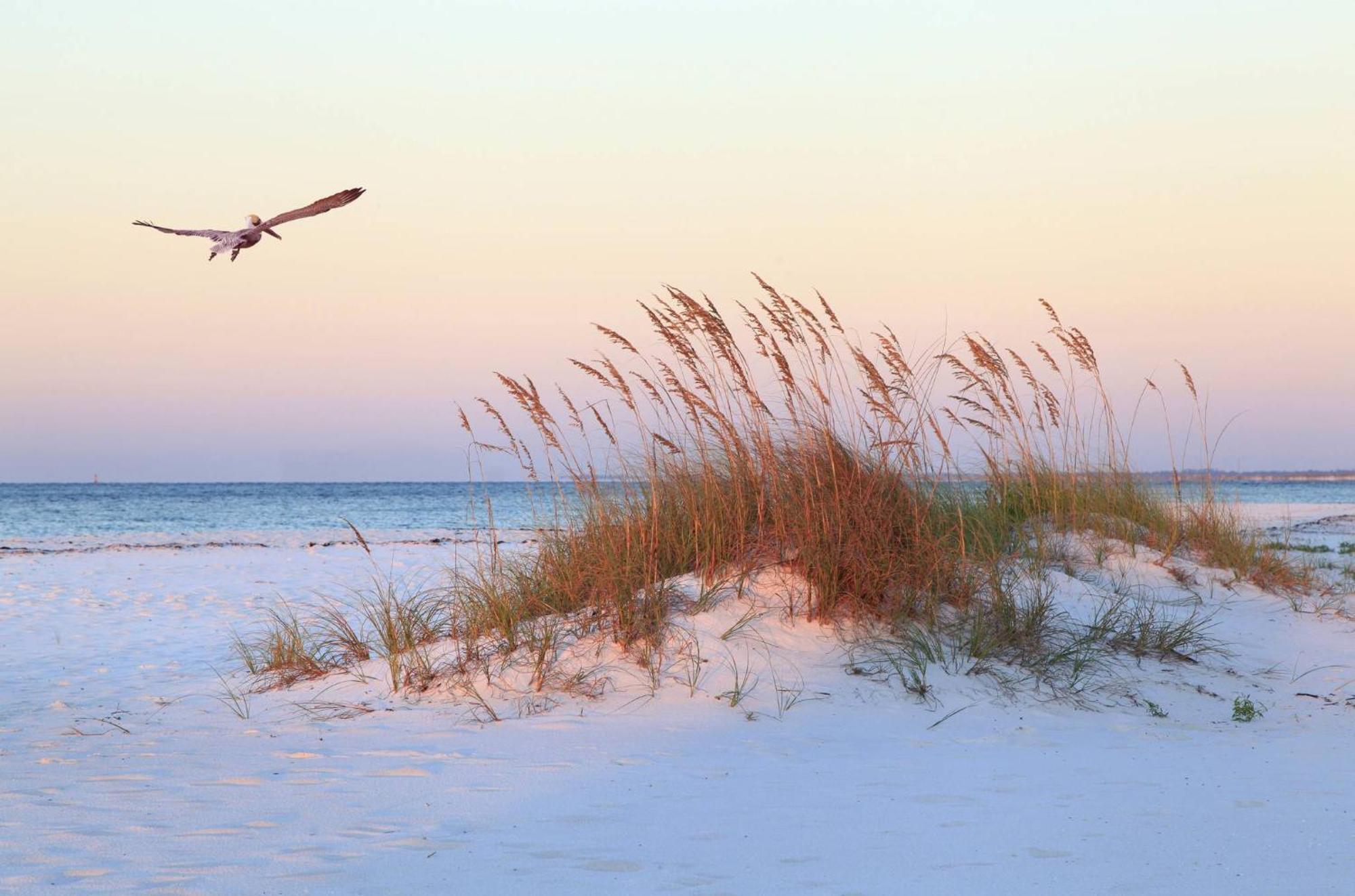 80 Mooring Buoy Βίλα Hilton Head Island Εξωτερικό φωτογραφία